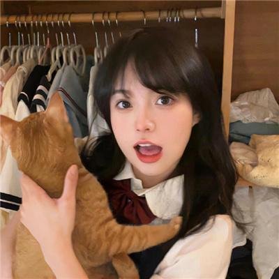 波普先生的企鹅